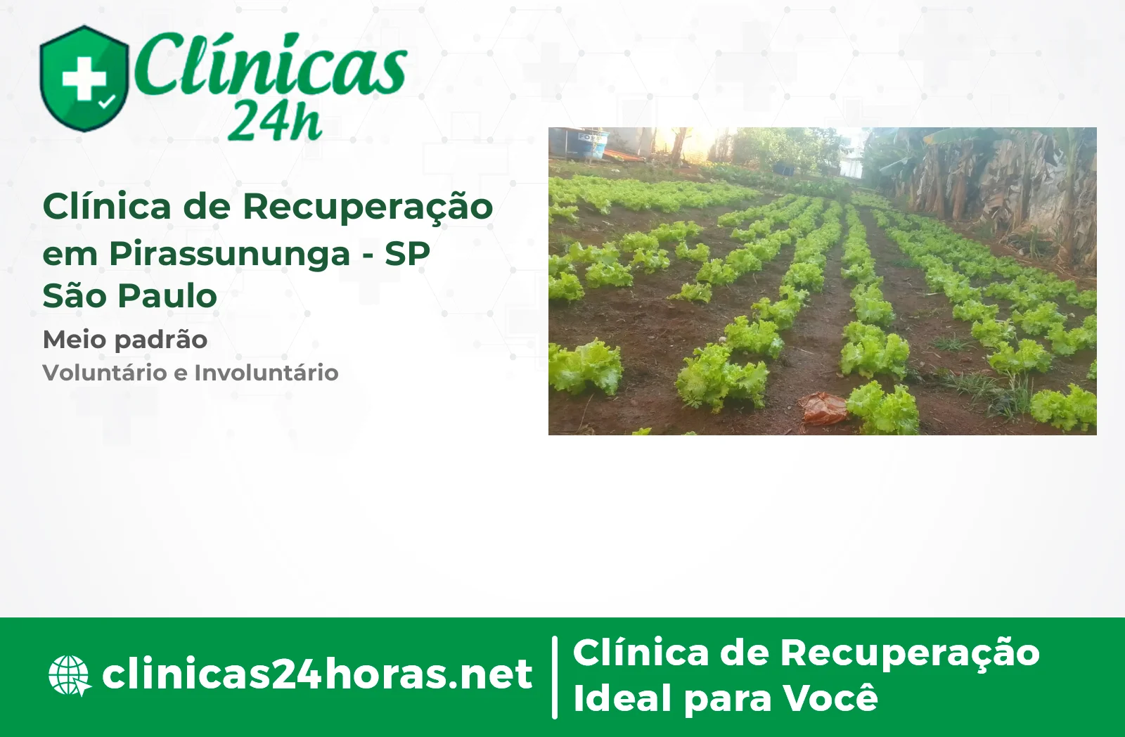 Clínica de Recuperação em Pirassununga Masculina-2 4
